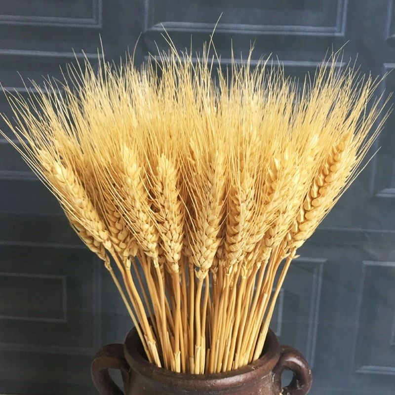 23cm Wheat Ear Flower Natural Dried Flowers For Wedding Party Decoration DIY Home Table Wedding Christmas Decor Wheat Bouquet