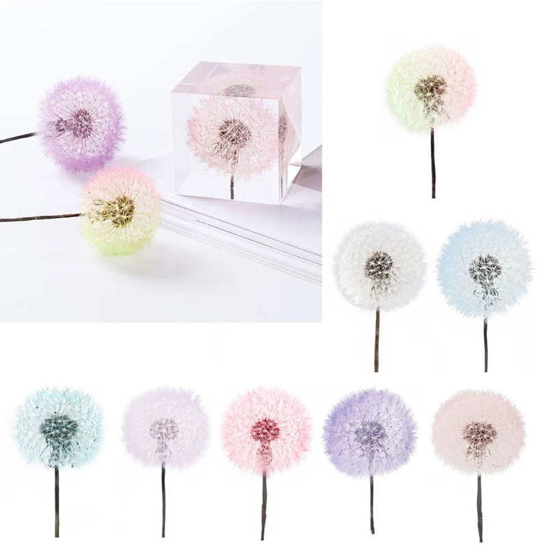 2 Pcs Crystal Epoxy Filler Dandelion Dry Flower Resin Mold Filling Material for DIY Crafts Art Jewelry Making Supplies