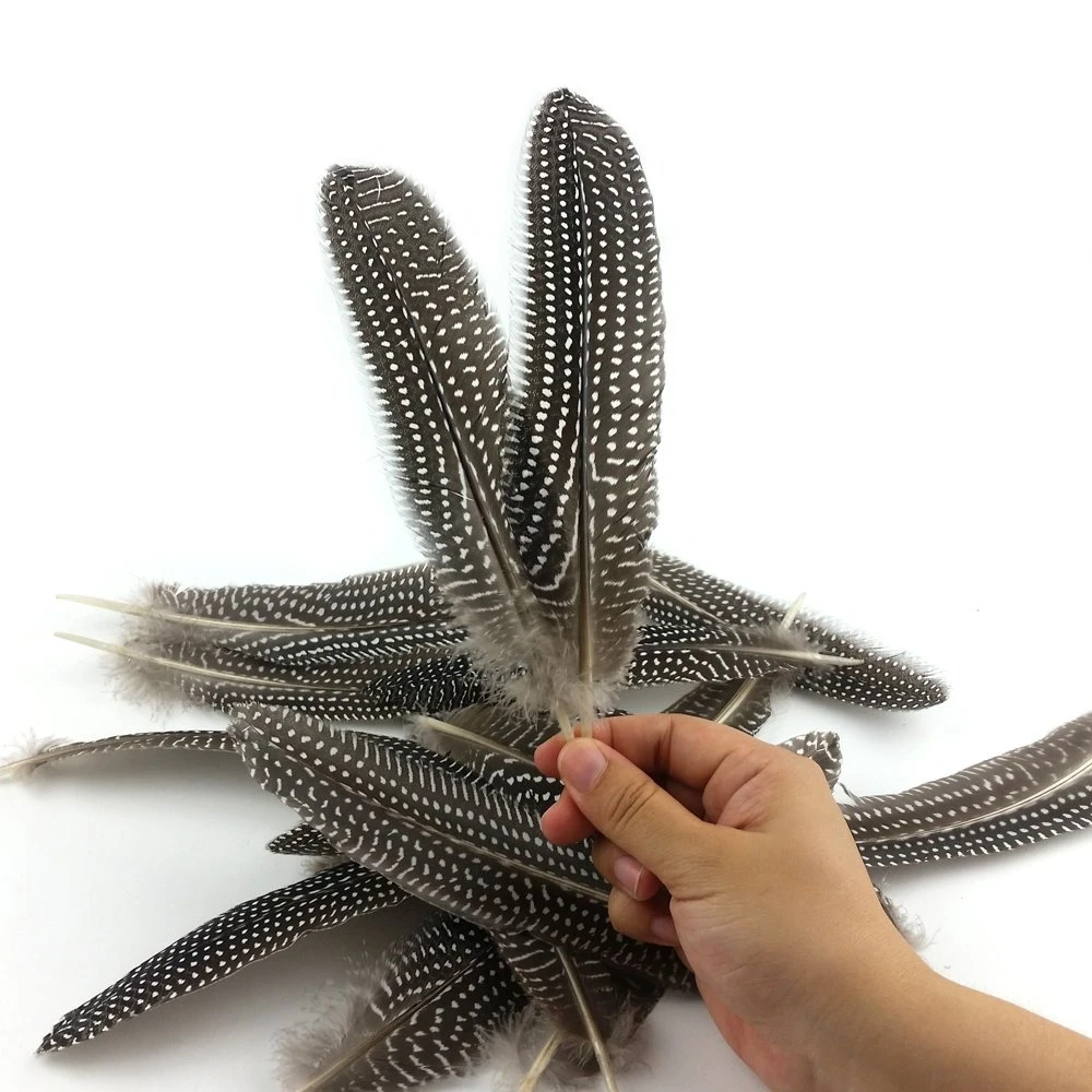 Low Price 10Pcs 15-20CM Beautiful Natural Pearl Chicken Spotted Feathers for Decoration DIY Crafts Pheasant Feathers Plumes