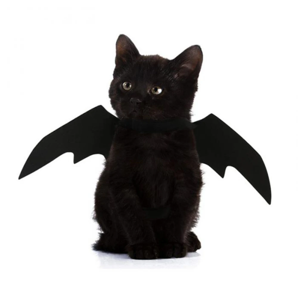 2021New OLN Pet Dog Cat Bat Wing Cosplay Prop Halloween Bat Fancy Dress Costume Outfit Wings Cat Costumes Photo Props Headwear