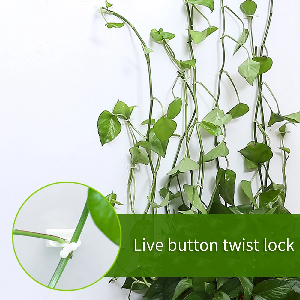 20pcs Invisible Wall Rattan Clamp Clip Invisible Wall Vine Climbing Sticky Hook Rattan Fixed Clip Bracket Plant Stent Supports