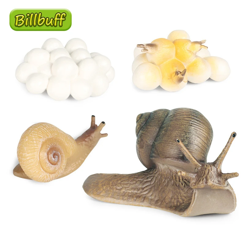 Hot Simulation Animal Insect Model Mini Animals Snails Growth Cycle Ornaments Kids Cognitive Educational Toys for children Gift