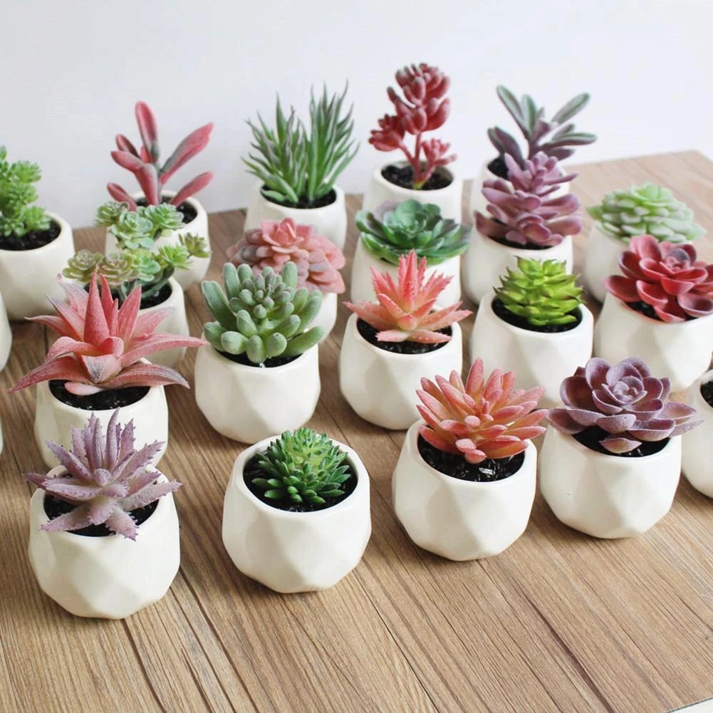 Mini Vivid Cactus Succulent Home Garden Decoration Artificial Bonsai Plant with Vase for Office Table Decor Indoor Fake Plants