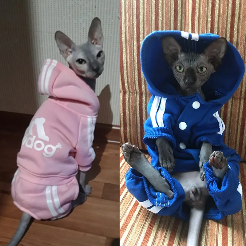 Cute Cat Sweater Hoodie Winter Warm Pet Clothes for Cats Sphinx Katten Clothing Outfit Ropa Para gatos Kedi Giyim Pets Products