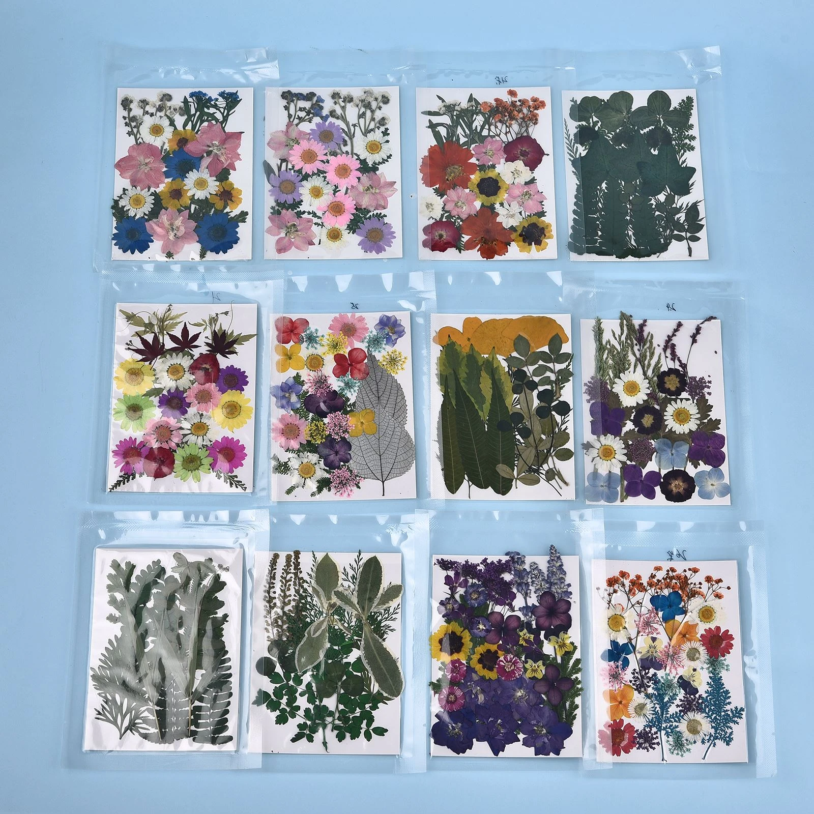 1 Pack Dried Flowers Exclusive Customization Unique UV Resin Natural Flower Stickers Dry Decal Epoxy Resin DIY Decoration