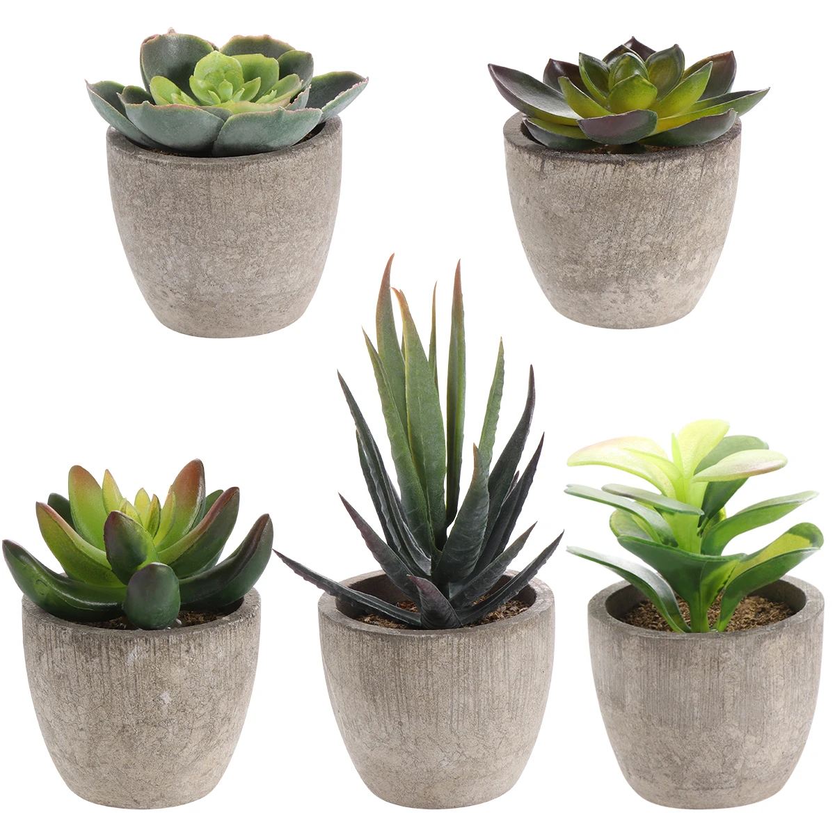 1 Set Potted Succulents Plants Ceramics Bonsai with Pots Cement Artificial Flower Fake Plants for Wedding Garden Home Decorative