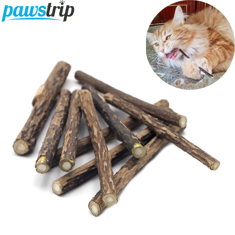 10/15/20pcs/lot Natural Matatabi Pet Cat Snacks Sticks Cleaning Tooth Catnip Cat Toys Actinidia Silvervine Pet Toy For Cats