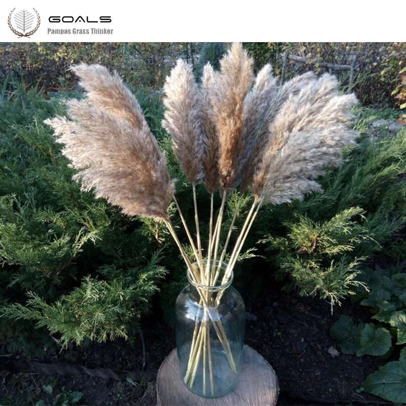 White Pampas Wedding use decorative pampas flowers bunch natural plants christmas decor dried flower bouquet for home decor