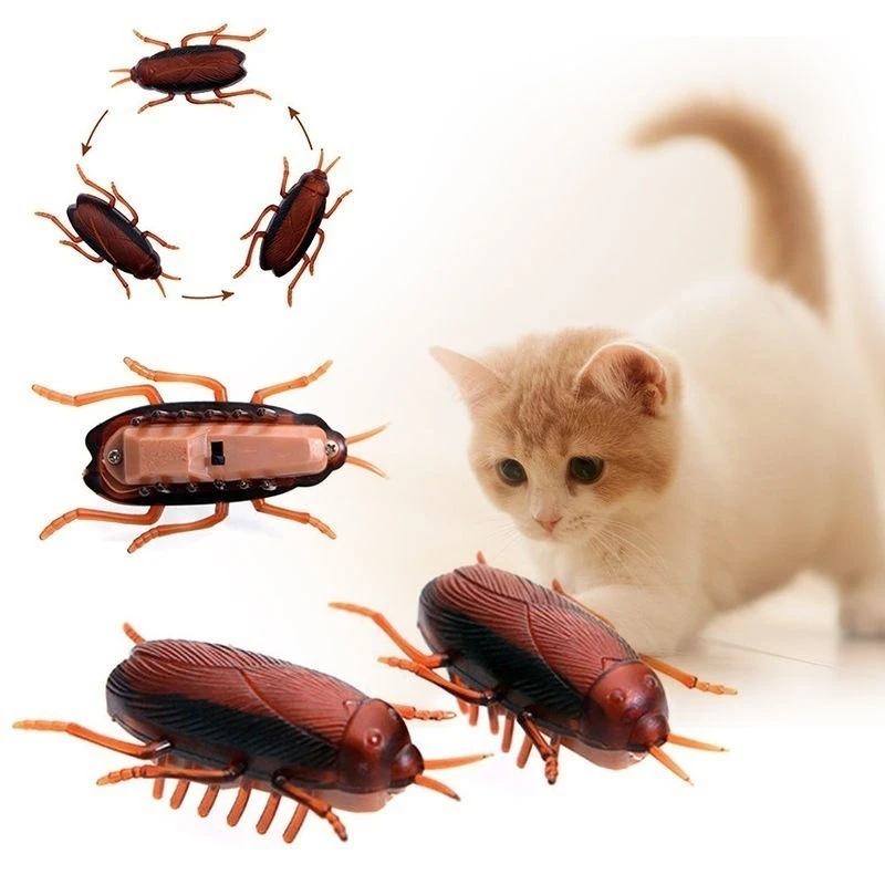 Ginflash 1PC Funny Simulation of Cockroaches Pet Cat Dog Kitten Interactive Training Play Toy  Funny Tricky Toys no box