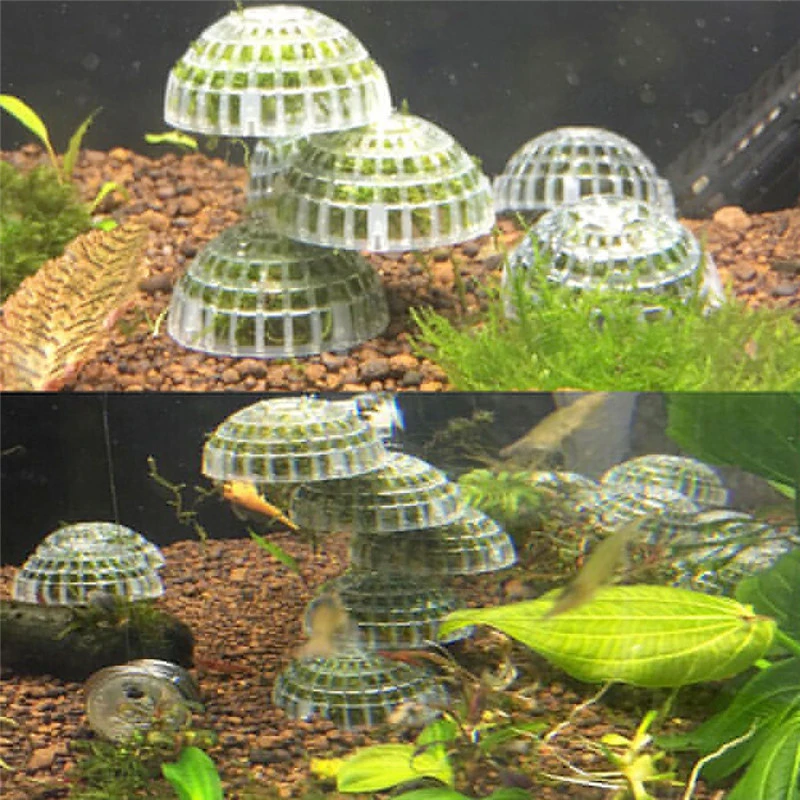 5cm Aquarium Fish Tank Media Moss Ball Live Plant Filter Filtration Decor Filters Accessories