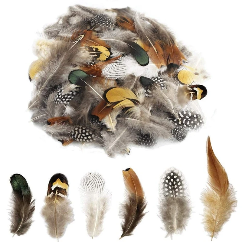 24Pcs Multiple Styles Natural Peacock Pheasant Feathers for Crafts Jewelry Making Accessories Decoration Plumes 5-15CM Wholesale