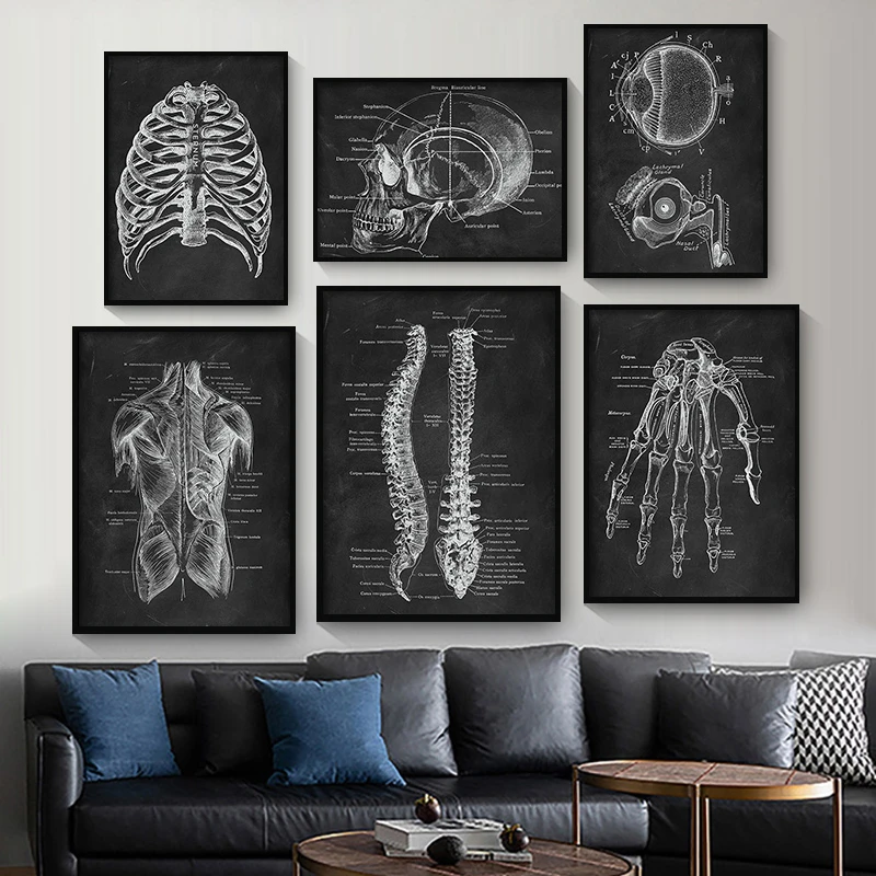Human Anatomy Artwork Medical Clinic Wall Picture Skeleton Organ Muscle System Vintage Canvas Print Body Education Poster