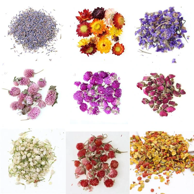 Real Dried Flower Dry Plants For Aromatherapy Candle Epoxy Resin Pendant Necklace Jewelry Making Craft DIY Accessories