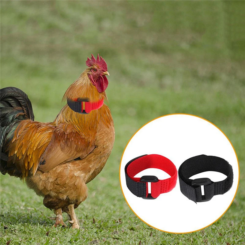 Rooster Noise-Free Anti-Hook Neckband Collar 2pcs Rooster Neck Collar Supplies Nylon Collar Rooster Supplies