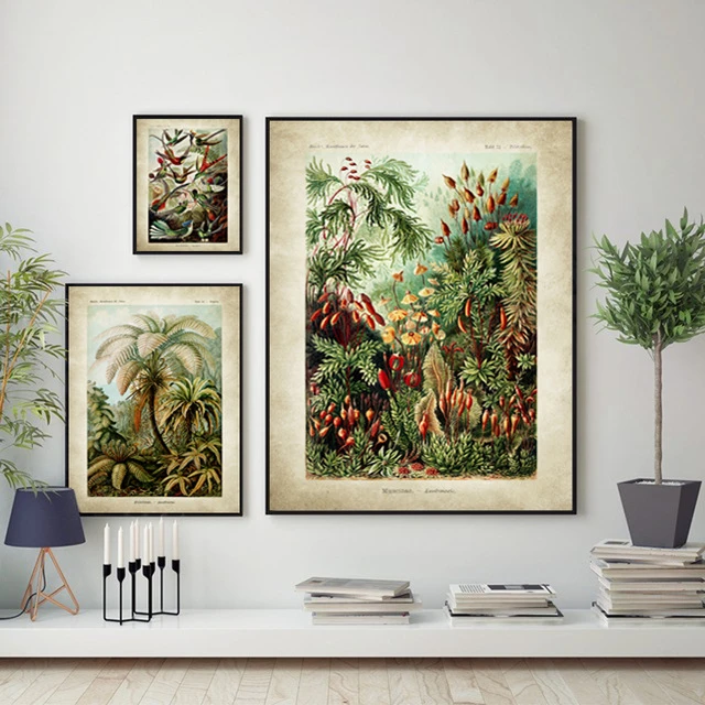 Abstract Wall Art Natural Tropical Jungle Oil Paintings Nordic Canvas Posters Prints for Living Room Bedroom Corridor Decoration