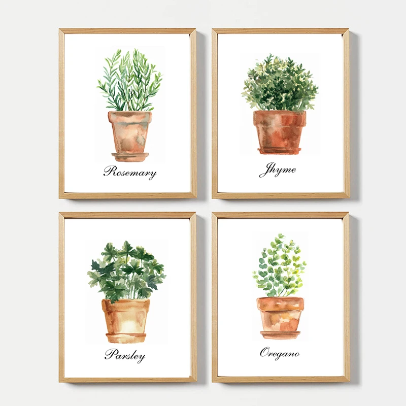 Water color  Kitchen Wall Art Canvas Posters Prints Decor Oregano Thyme Rosemary Parsley Green Plant Art Painting Pictures