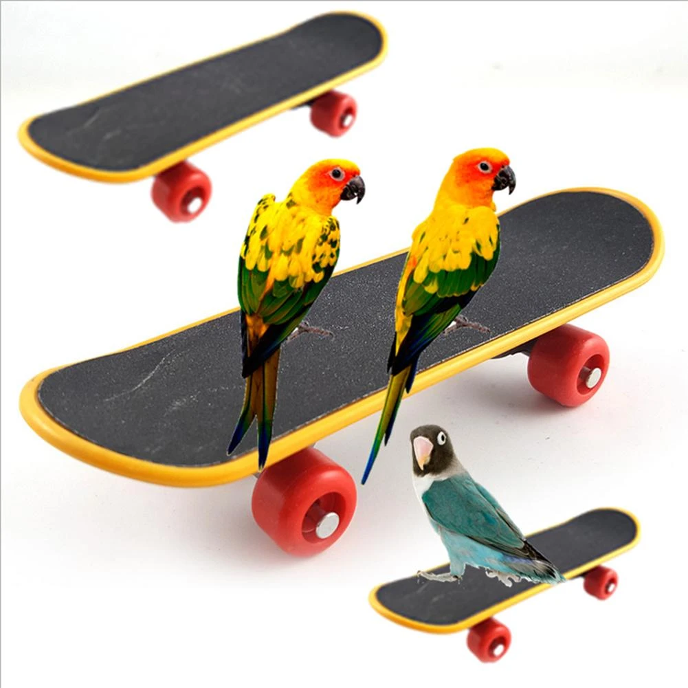 Durable Mini Skateboard Parrot Bird Cage Toy Chew Training Ornaments Gift