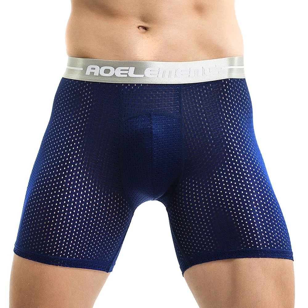 Ice Silk Man Sport Panties Men Mesh Short Underwear Mesh Sports Underpantes Anti-wear Leg Running Fitness Briefs 4XL 5XL 6XL