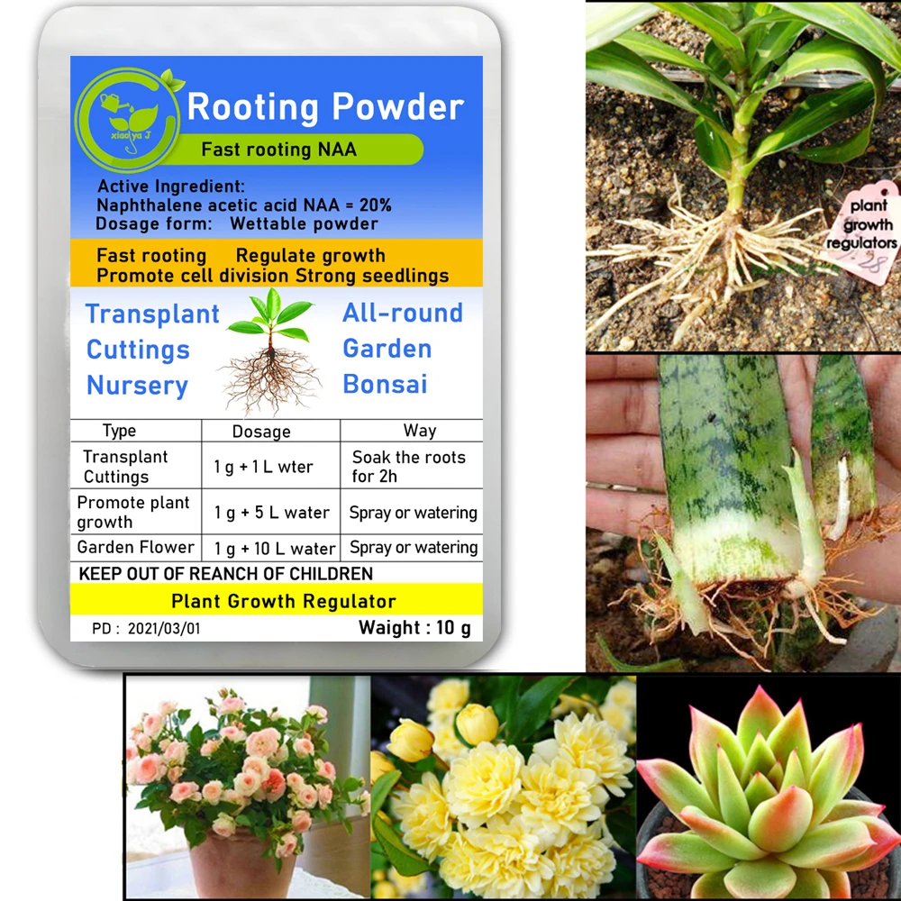 Bonsai Plant Rapid Growth Root Medicinal Hormone Regulators Growing Seedling Recovery Germination Vigor Aid NAA For Gardem