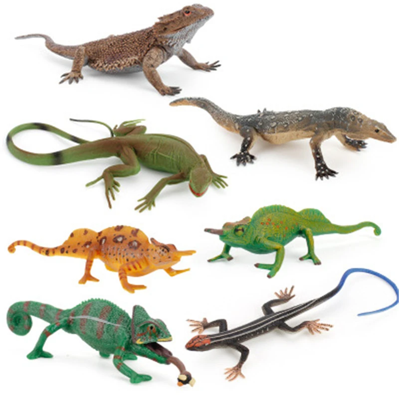 Simulation Amphibian Animals Model Toy Sets Lizard chameleon Plastic Action Figures Educational Toy for Children Toy Figure Gift