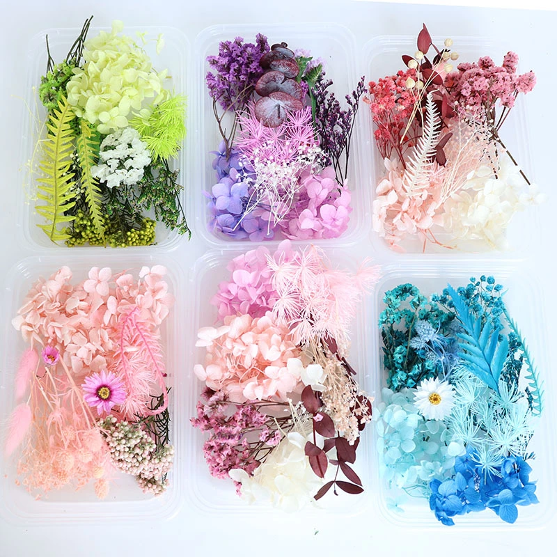 1 Box Colorful Real Dried Flower Plant For Aromatherapy Candle Epoxy Resin Pendant Necklace Jewelry Making Craft DIY Accessories