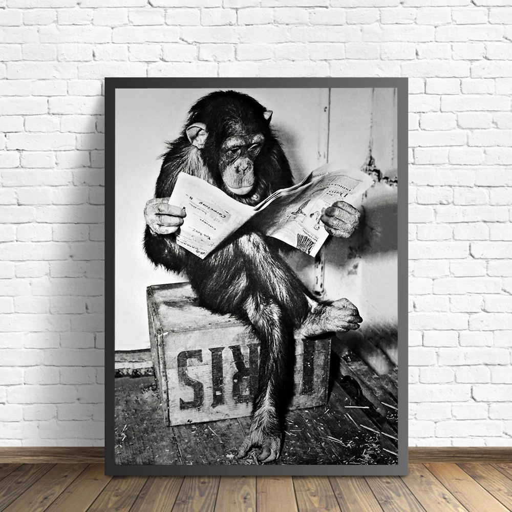 Funny Monkey Business Poster and Print On The Wall Reading Newspaper Painting Washroom Restroom Decor Black White Art Picture