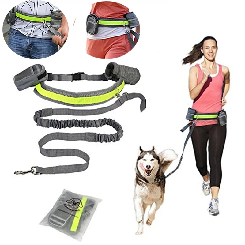 Pet Dog Cat Elastic Reflective Belt Running Jogging Leash Set Leash Collar Pet accessories Puppy  Harness Walking Training