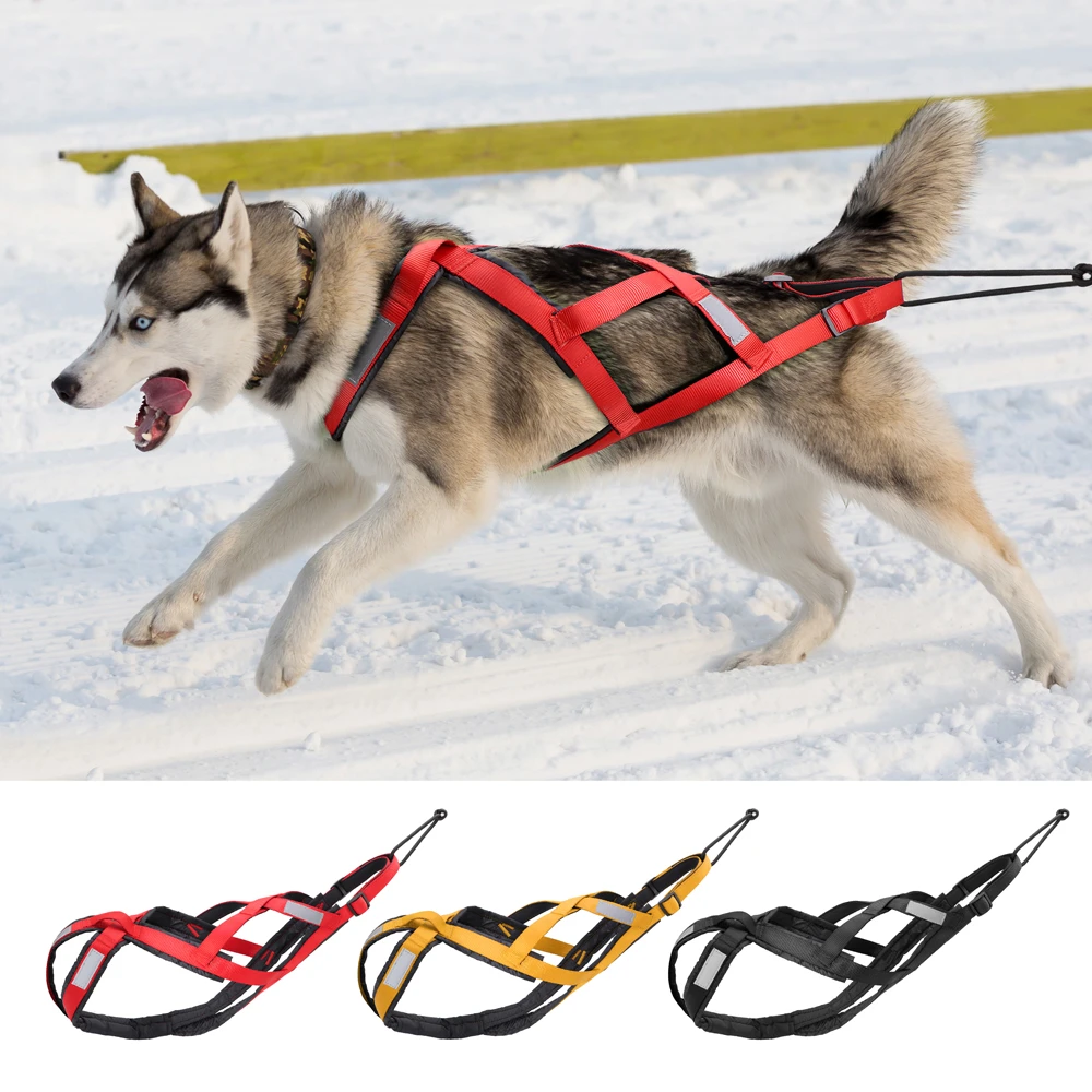 Waterproof Dog Sled Harness Reflective Sledding Harness Medium Large Dog Strength Weighting Strap for Skijoring Scootering