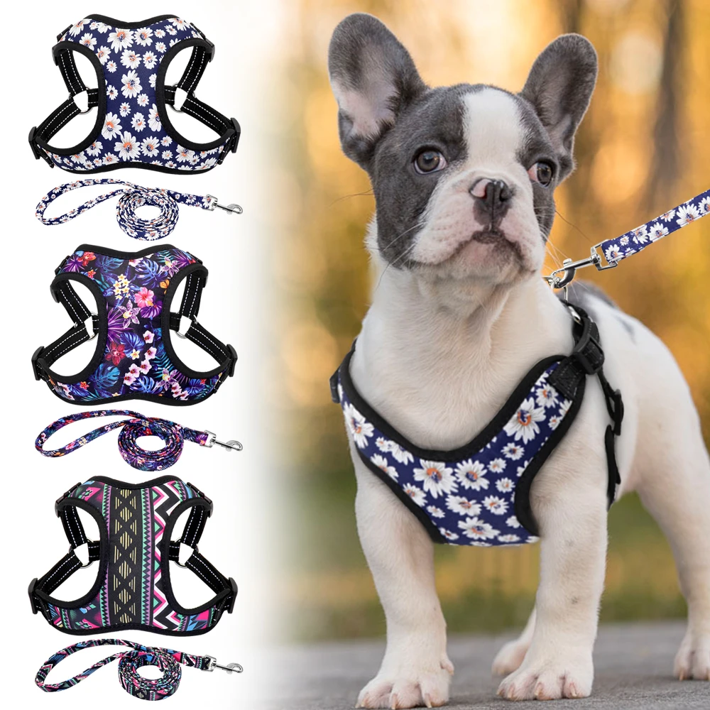 Fashion Printed Nylon Dog Harness Vest Reflective No Pull Dog Harness Leash Set For Small Medium Dogs Cats French Bulldog