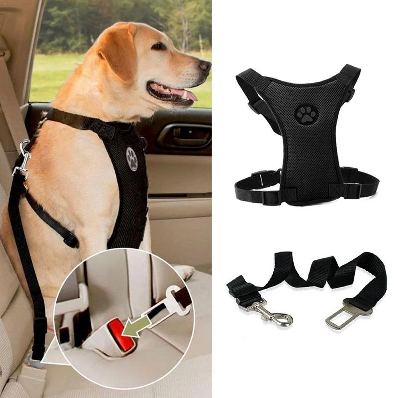 Outdoor Training Dog Snack Bag Breathable Mesh Dog Harness Leash With Adjustable Straps Car Automotive Seat Safety Belt Dropship