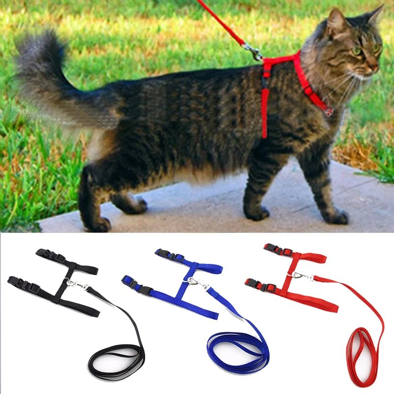 Cat Collar Harness Leash Adjustable Nylon Pet Traction Cat Kitten Dog Halter Collar gato Cats Products Pet Harness Belt