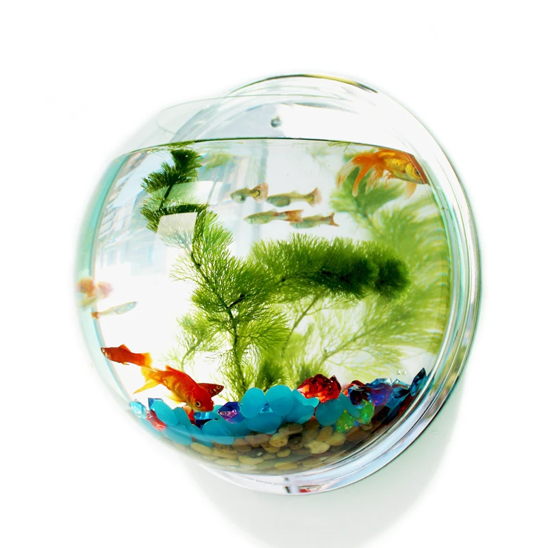 Pinsjar Acrylic Plexiglass Fish Bowl Wall Hanging Aquarium Tank Aquatic Pet Products Wall Mount Fish Tank for Betta fish