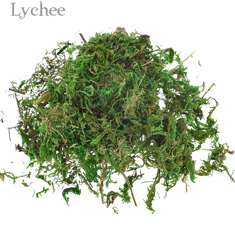 Lychee Life 10g Artificial Keep Dry Green Moss Simulated Green Plant Garden Flower Pot Decoration