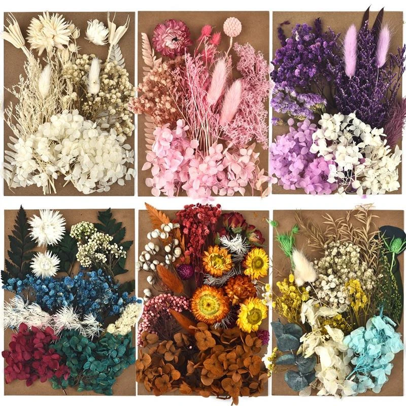 1 Pack Preserved Flower Dried Flowers For DIY Resin Crafts Making Fit Aromatherapy Candle Epoxy Frame Embossing Decoration