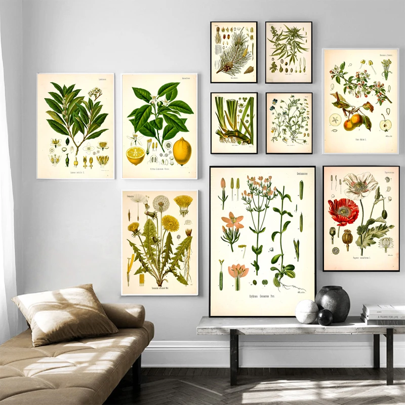 Vintage Botanical Posters and Prints Kitchen Wall Pictures Koehler's Medicinal Plants Canvas Painting for Living Room Home Decor