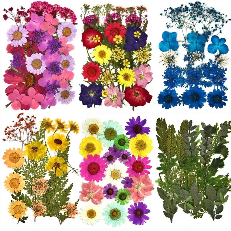 1 Bag Real Dried Flower Dry Plants For Aromatherapy Candle Epoxy Resin Pendant Necklace Jewelry Making Craft DIY Accessories