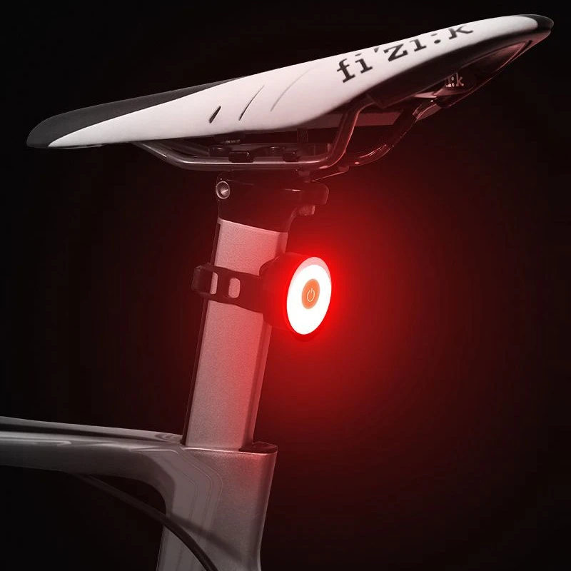 Bicycle Rear Light USB Rechargeable IPX8 Waterproof Bike Light  For MTB Helmet Pack Bag Tail Light 5 Models Cycling Taillight
