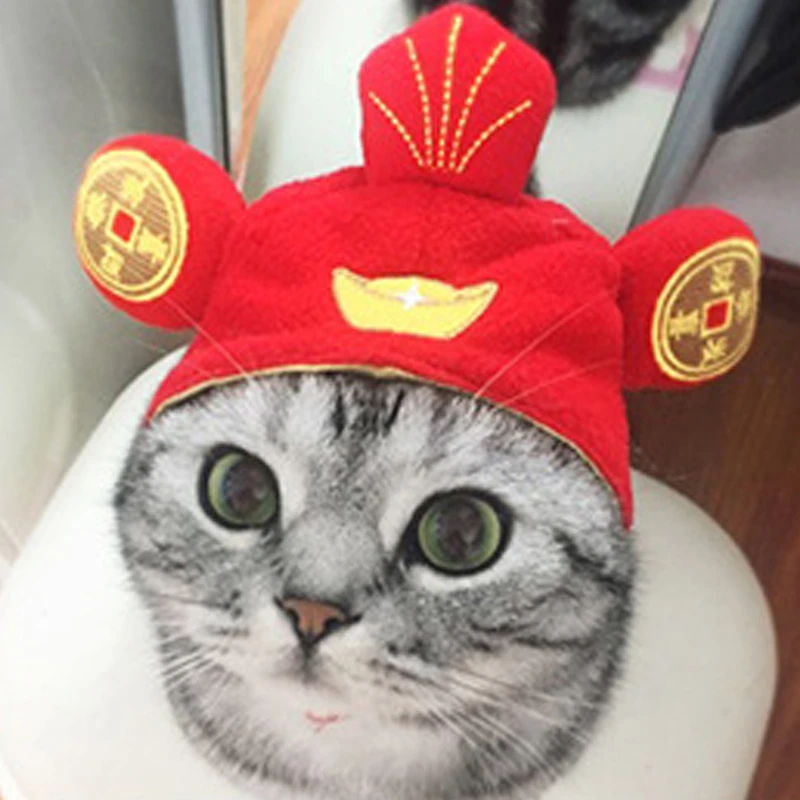 Pet headdress cute cat Teddy holiday dress up sun trick fortune headdress wig cat headgear hat