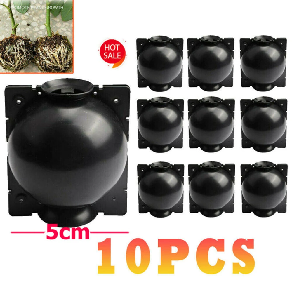 10Pcs Plant Rooting Ball Grafting Rooting Growing Box Breeding seeding Case Container Nursery Box Garden seeds Root Tool