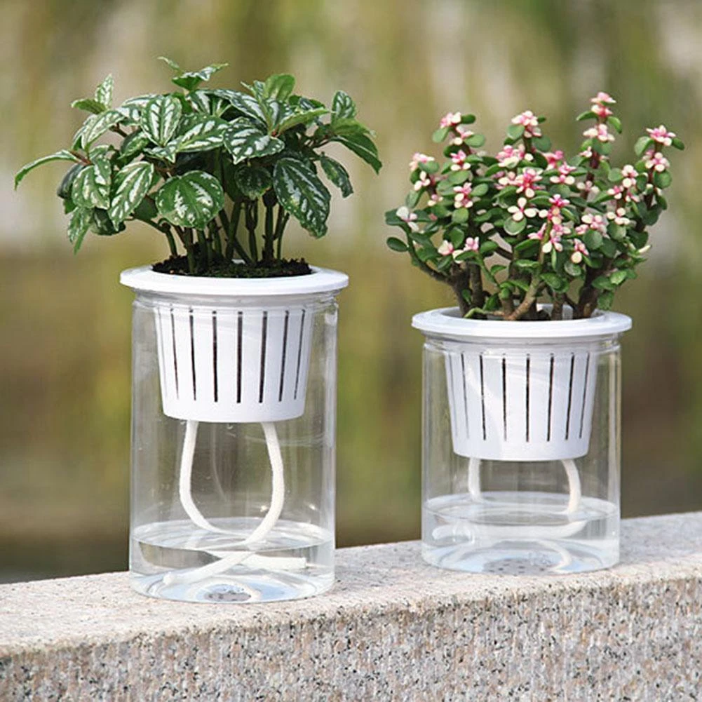 Clear Automatic Water Absorption Self Watering Hydroponic Flower  Pot Planter Home Office Decorative