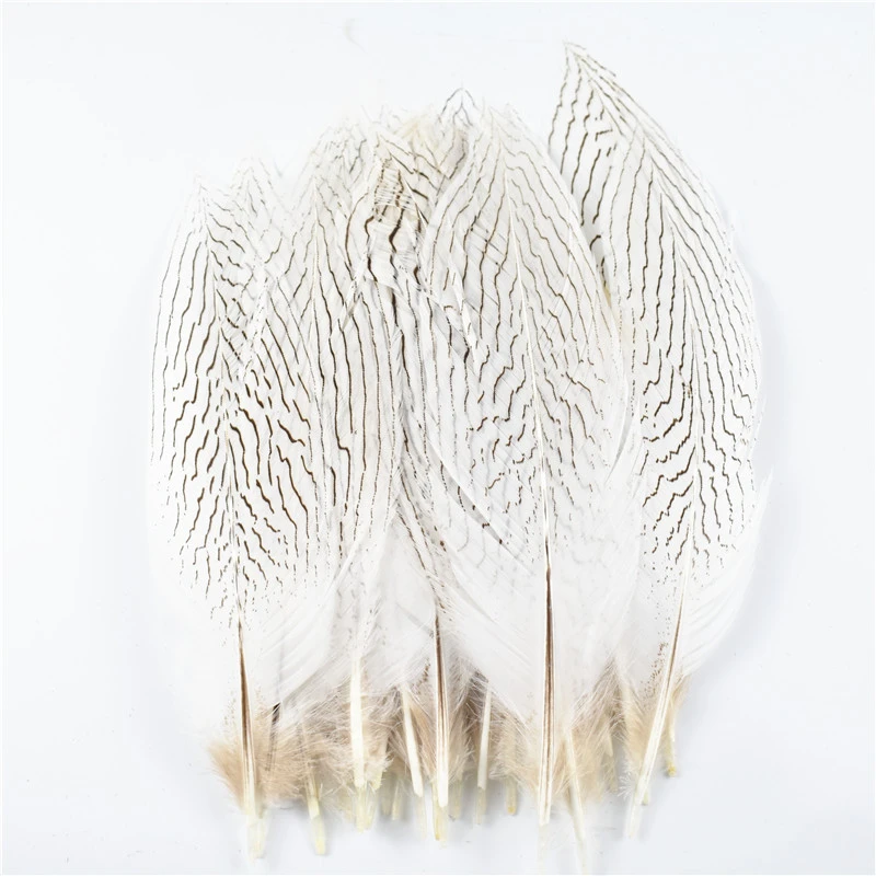 10Pcs/Lot 10-30CM 4-12 Inch Natural Silver Pheasant Tail Feathers for Crafts Wedding Decorations Silver Pheasant Feather Plumes