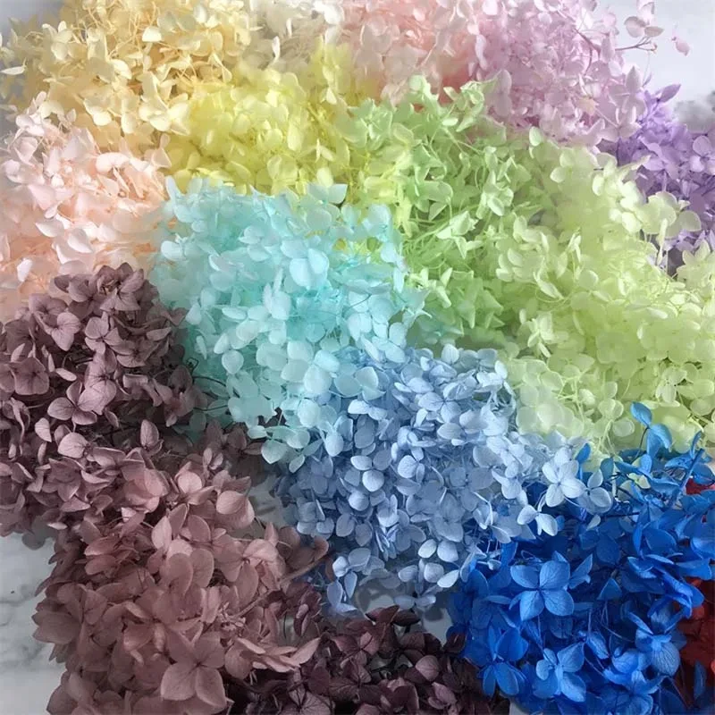 4-4.5g/Lot Natural Fresh Preserved Flowers Dried Small Leaves Hydrangea Flower Heads For DIY Real Eternal Life Flowers Material