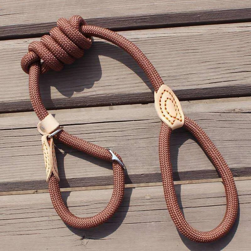 P Chain Dog Leash Slip Collar pet Walking Leads Nylon Dog Mountain Climbing Rope puppy pet Traction For small Medium Large Dogs