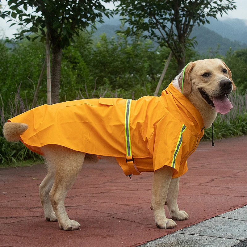 Big dog raincoat  golden Samoye Labrador border animal husbandry medium-sized large dog pet dog two foot waterproof Magic upgrad