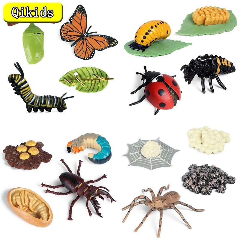 Newest Simulation Animals Growth Cycle Model Bee Spider Butterfly Action Figures Figurine Cute Kids Baby Toy Figures Educational