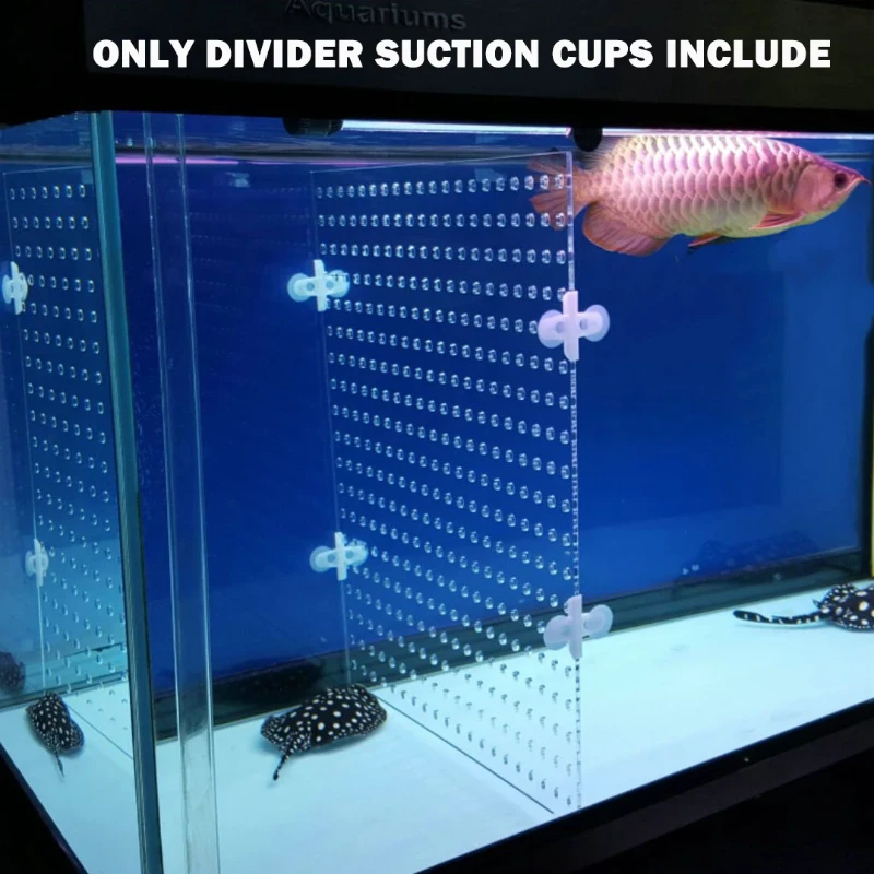 Aquarium Acrylic Divider Full Holes With 4pcs Suction Cup Free For Betta Fish Guppies Tank Black Blue Clear