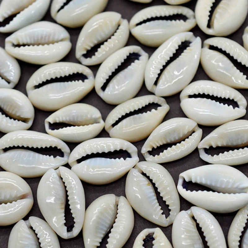 50Pcs White DIY Sea Shell Cowrie Cowry Charm Beads Beach Jewelry Accessories for Women Sea Shells Earrings Bracelet Necklace