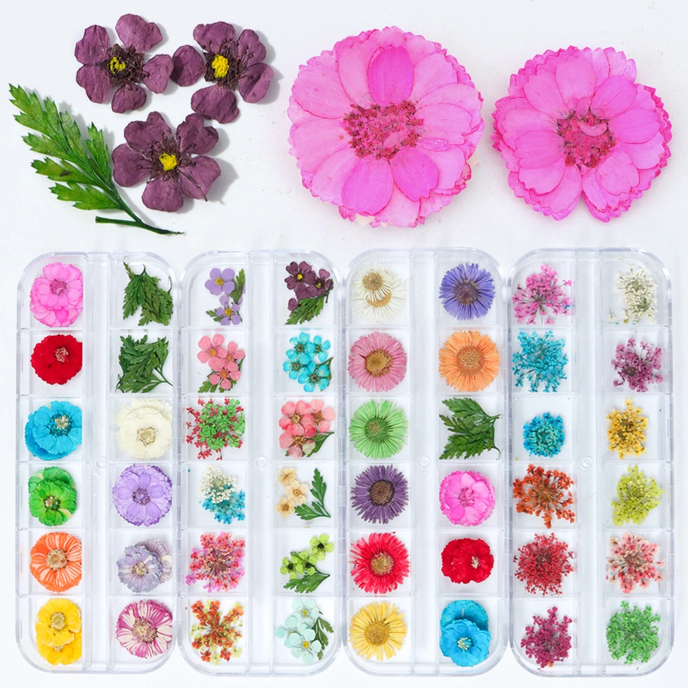 12 Color Nail Art Nature Dry Flowers Set Gel Polish Tip 3D DIY Floral Slices Decal Pro Manicure Pedicure Decor Newest Kit SAFL/F