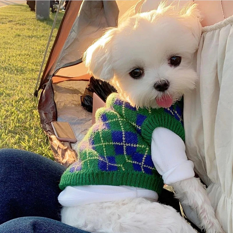 Pet Knitted Sweater Green Plaid Teddy Autumn and Winter Clothes Soft Dog Clothes Puppy Fashion Pullover Pet Products XS-XL