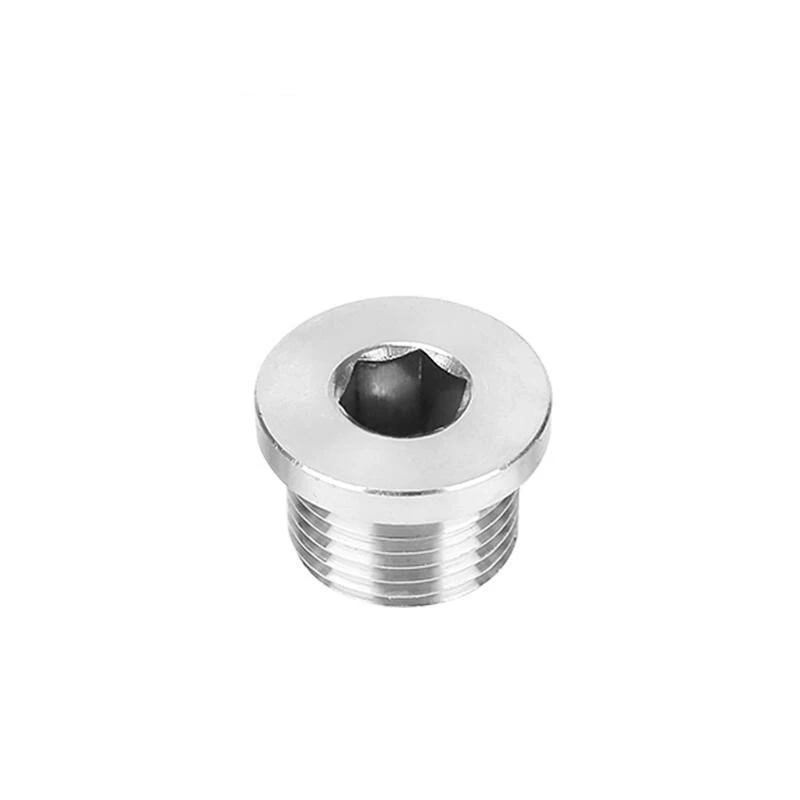 M8 M10 M12 M14 M16 M18 M20 M22 M24 M27 M30 Metric Male Thread 304 Stainless Steel Hex Socket Head End Cap Plug Pipe Fitting